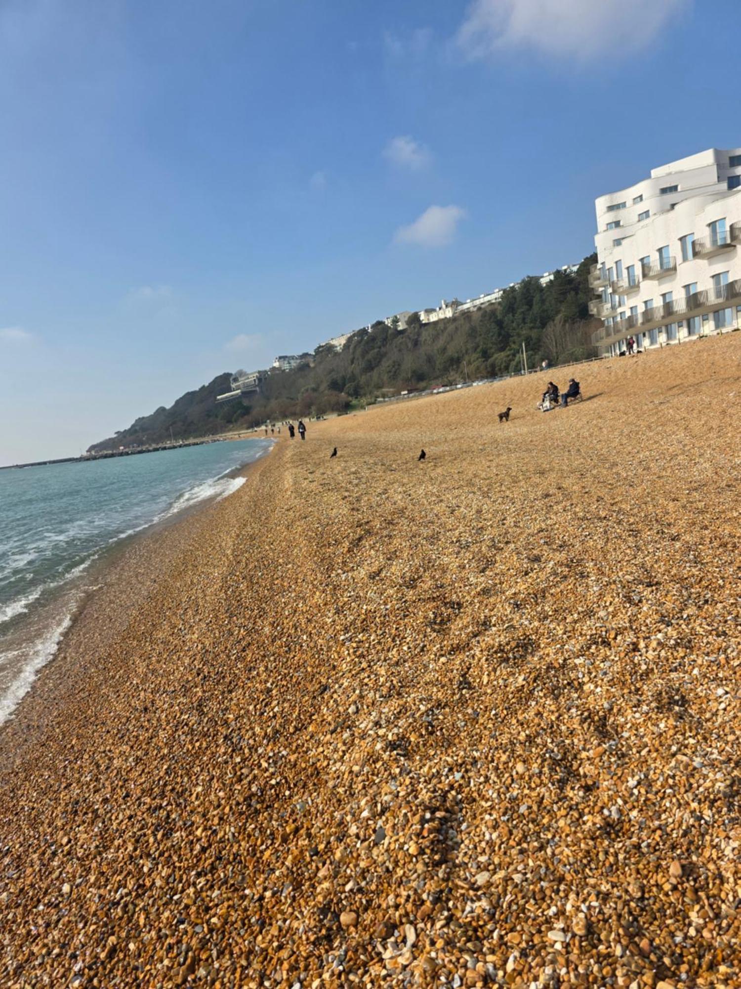Cosy West End Flat Near Leas And Channel Tunnel Apartment *